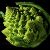 Fractal Flowers