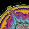 Fractal Flowers