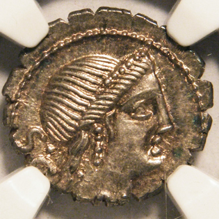 Image_full_size