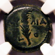 Image_thumb
