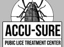 Positive for Pubic Lice 