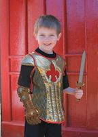 Braveheart Knight Costume