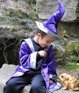 Wizard Costume
