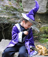 Wizard Costume
