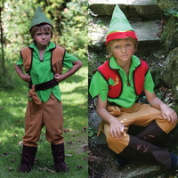 Elf/Robin Hood 2 in 1 Costume
