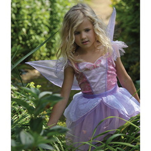 Butterfly Fairy Costume