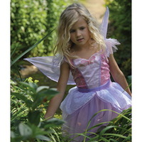 Butterfly Fairy Costume