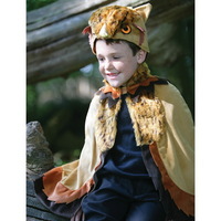 Ollie Owl Costume