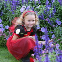 Ladybird Costume