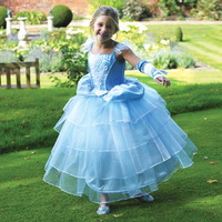 Cinderella Sapphire Mist Costume Limited Edition