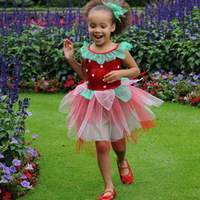 Strawberry Costume