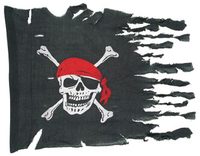 Pirate Weathered Flag