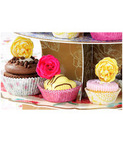 Truly Scrumptious Cupcake Cases
