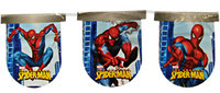 Spiderman Banner