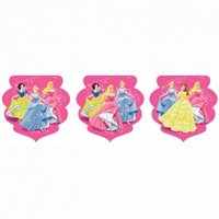 Disney Princess Bunting
