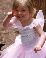 Rosebud Fairy Costume