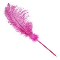 Hot Pink Feather Pen