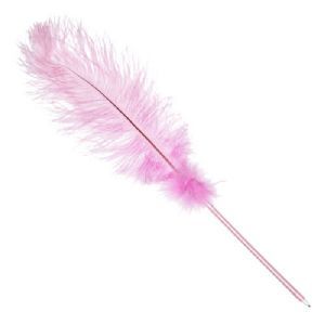 Light Pink Feather Pen