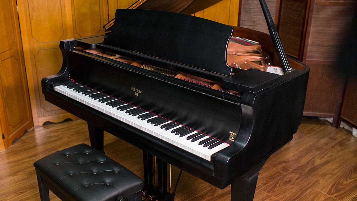 Are Ivory Piano Keys Better?