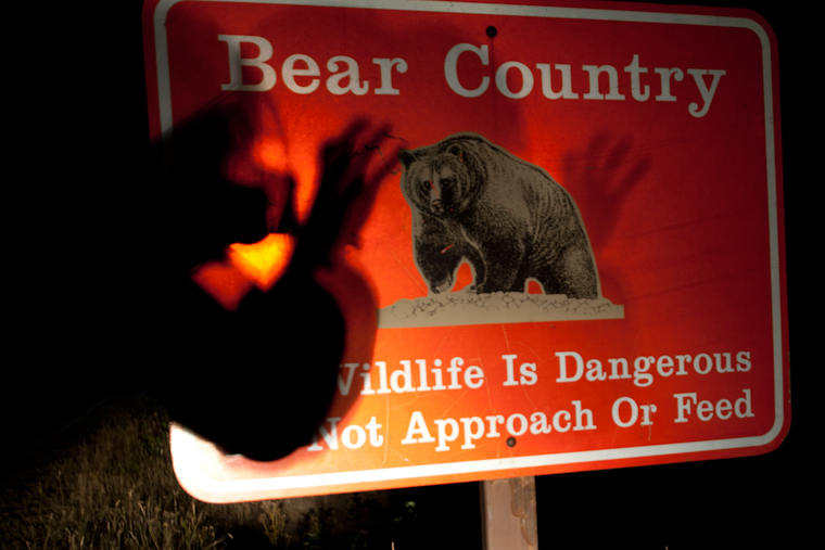 A Weekend in Glacier National Park Grizzly... LIGHT AND DARKNESS