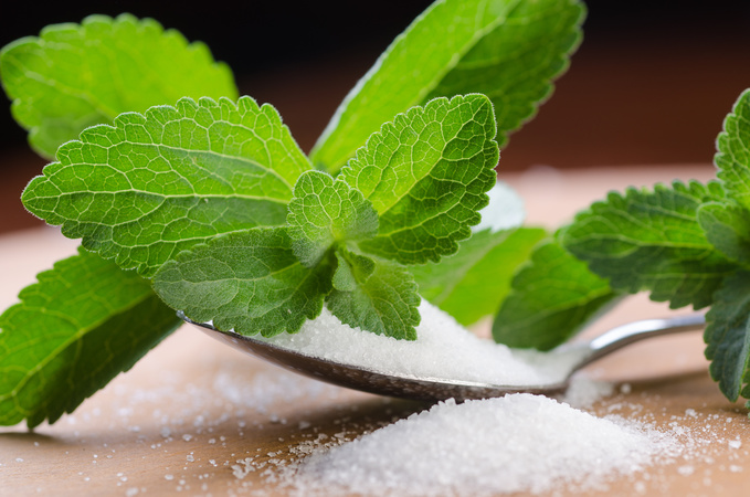 Stevia 3