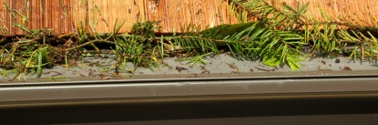 Gutters, Rain Gutters, Gutter Protection, Gutter Guards, Downspouts