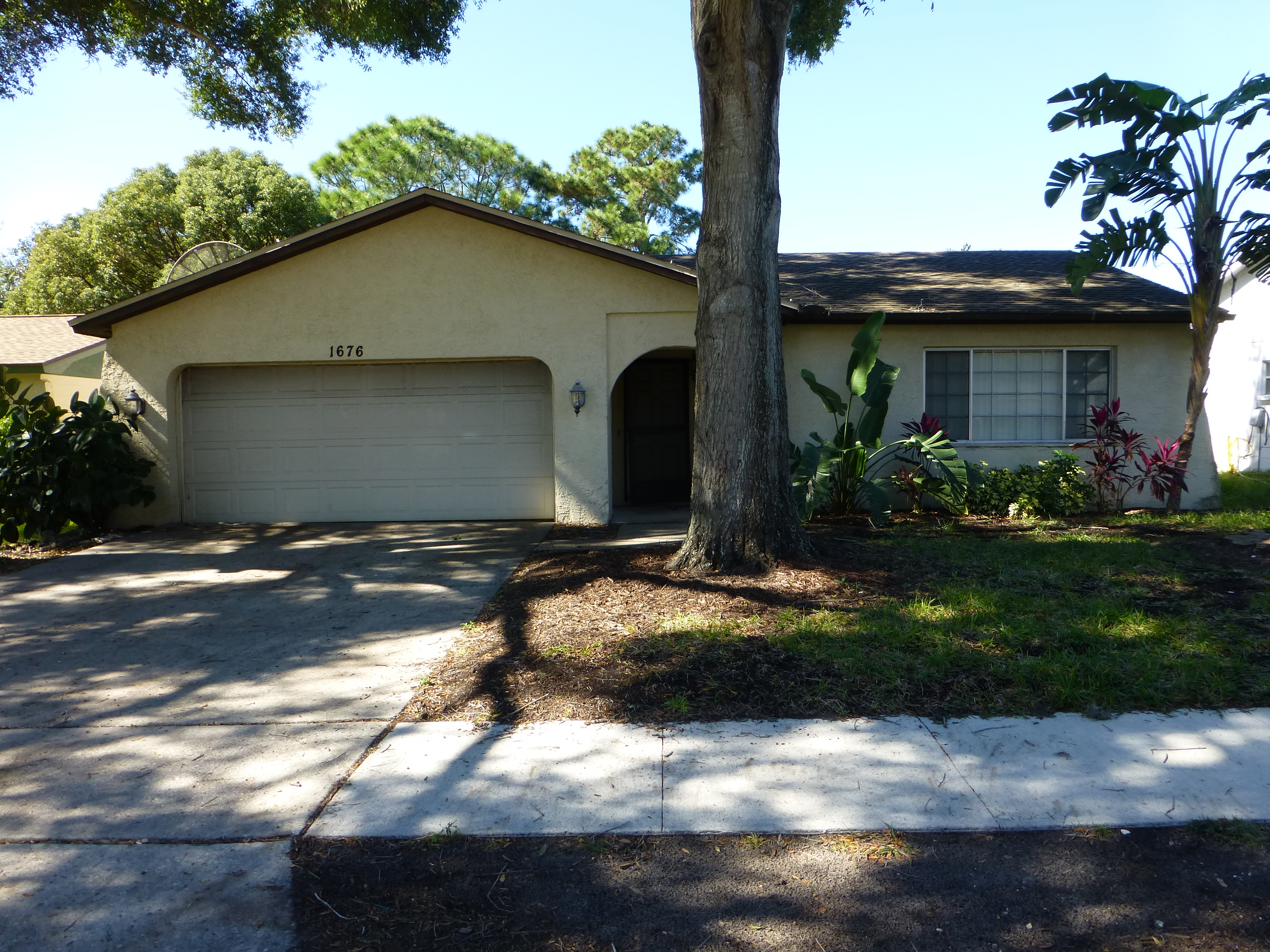 Apartments and Houses for Rent Near Me in Palm Harbor