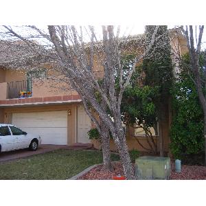Indian Hills #1 $875 3bd