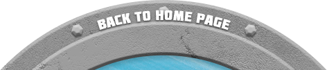 Back to Homepage