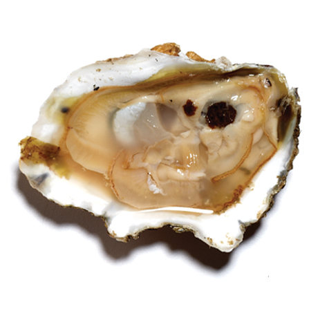 Check out these Oysters made in Topping, VA by Rappahannock River Oysters. Purchase to support 15 American workers. Gets you 700 Boom™ Points.