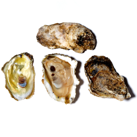 Check out these Oysters made in Topping, VA by Rappahannock River Oysters. Purchase to support 15 American workers. Gets you 700 Boom™ Points.