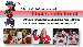 Oakville Elite Hockey Program