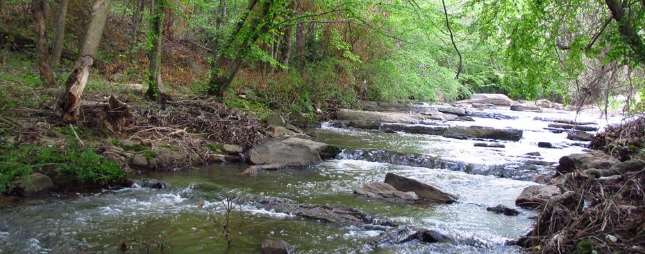 Auburn RV | Parkerson Mill Creek