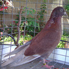 Dsc02259