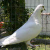 2005nbrcg0655
