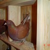 Dsc00820