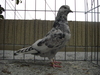 Cimg0378
