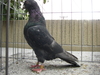 Cimg0386