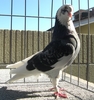 Cimg0436