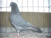 Cimg0531