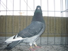 Cimg0527