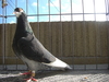 Cimg0558