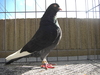 Cimg0552
