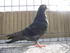 Cimg0548