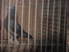 Cimg0573