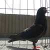 Cimg4805