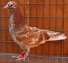 Img_1971