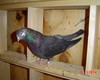 Dsc00800