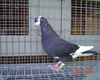 05b2614