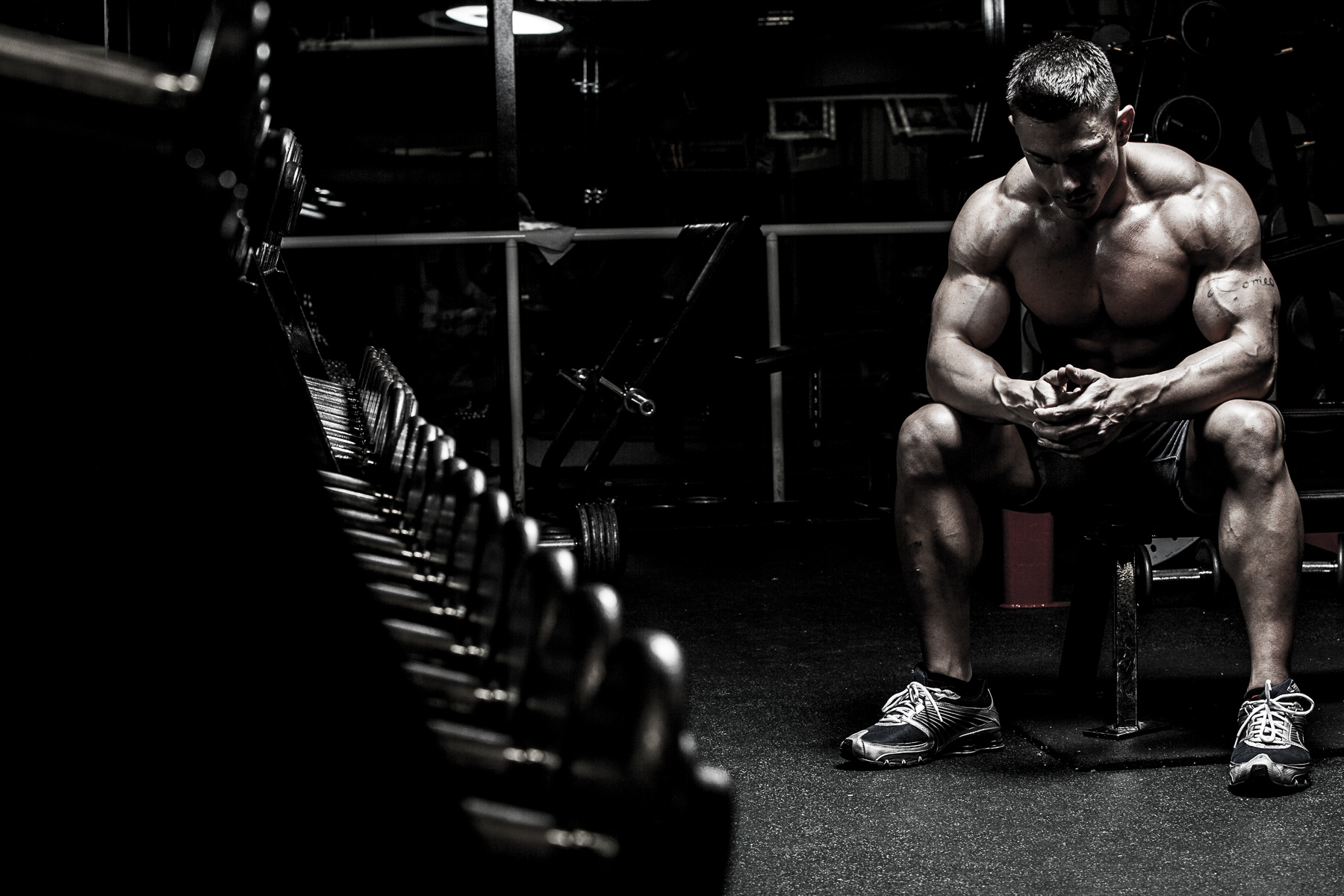 Brandon Michael SHREDZ® Supplements